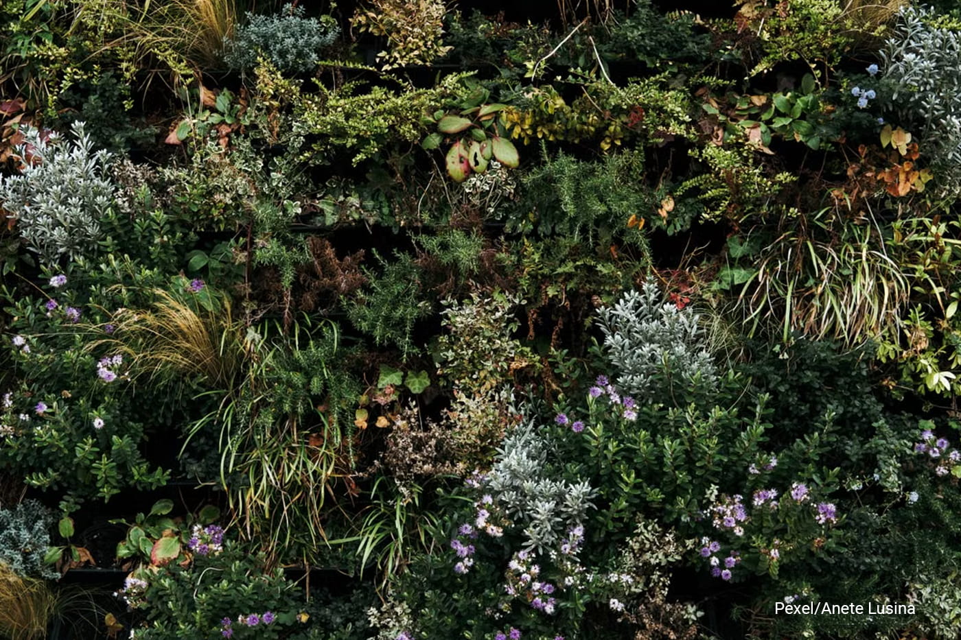 Vertical Gardening Systems Explained: Best Solutions for Small-Space Gardening