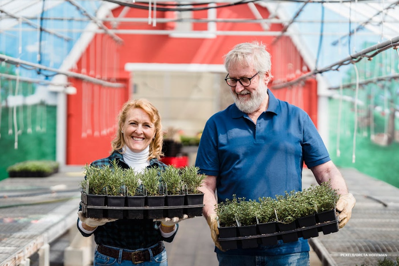 old couple holding planter box inside in a greenhouse