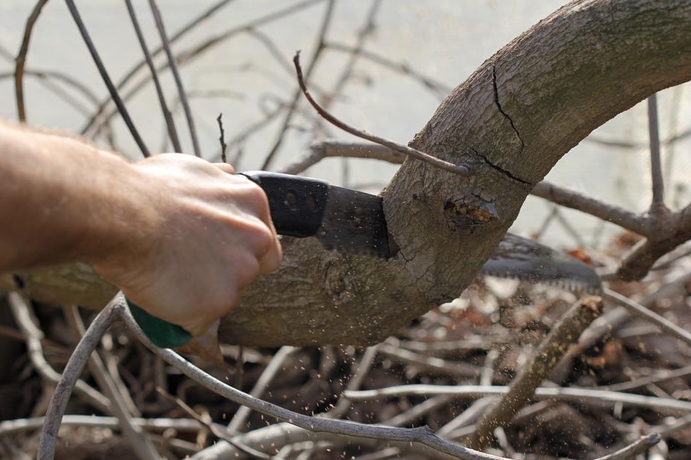 pruning saw
