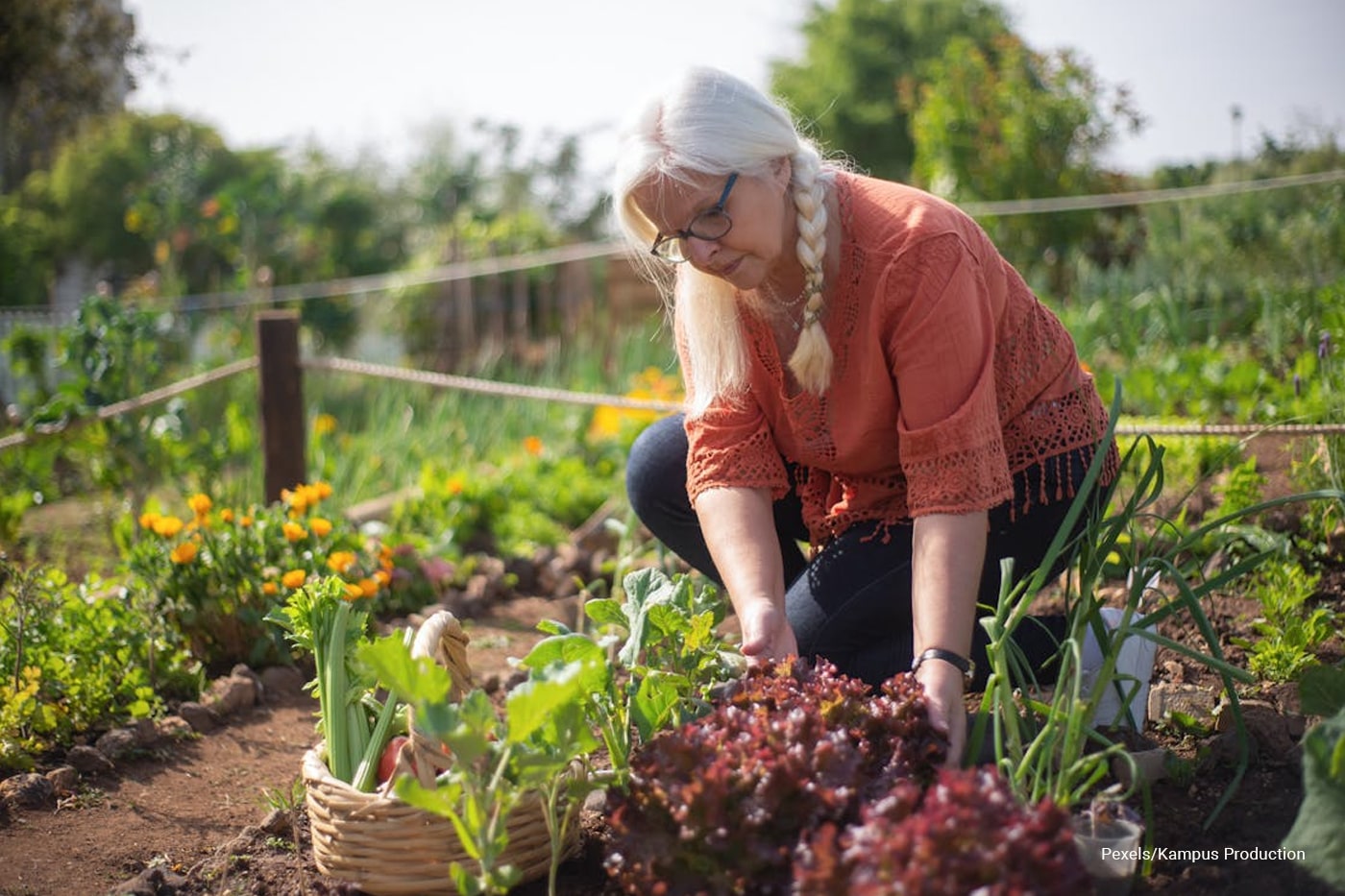 old woman doing some gardening stuff