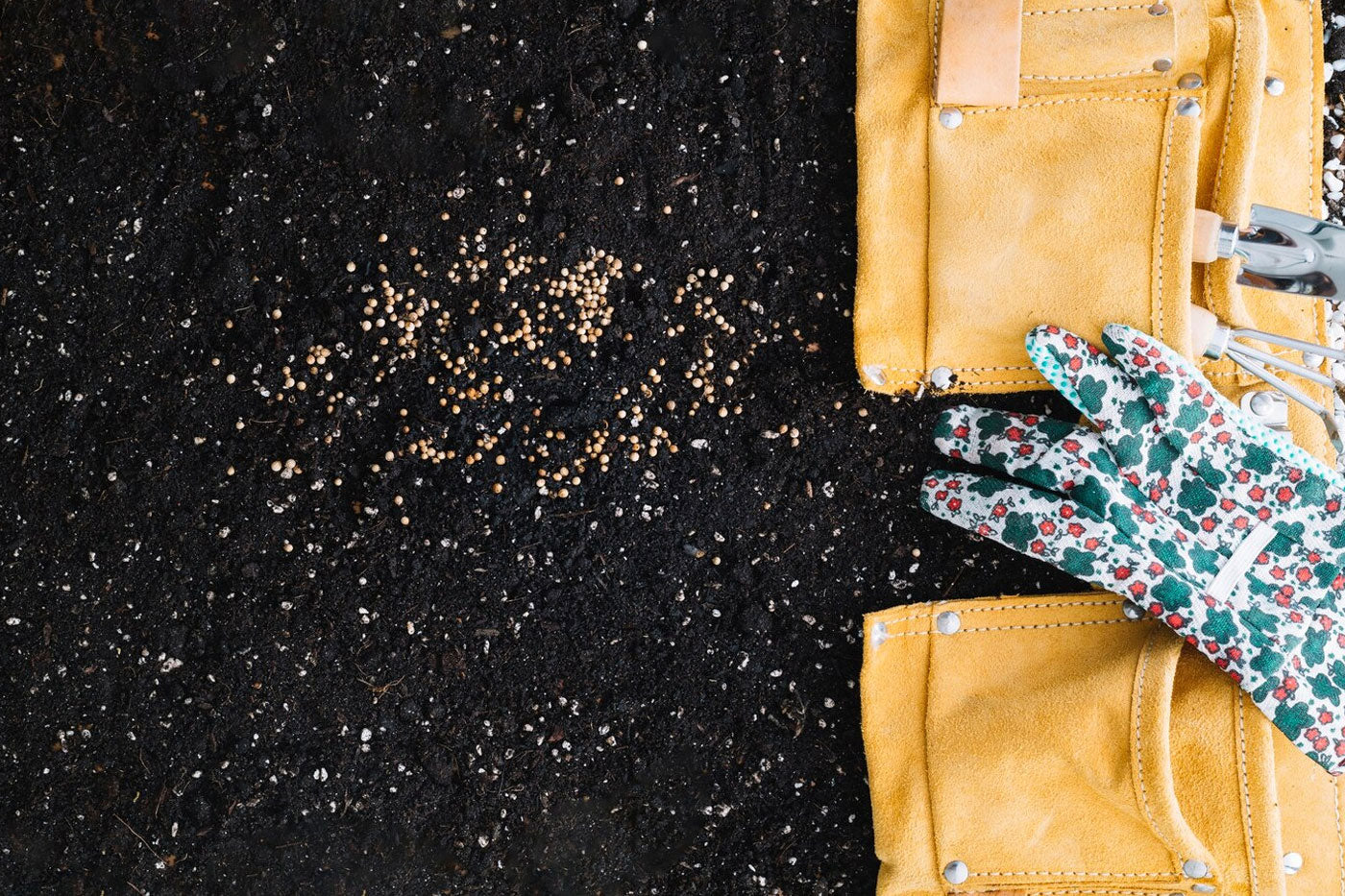 sowing seed besides on a garden gloves 