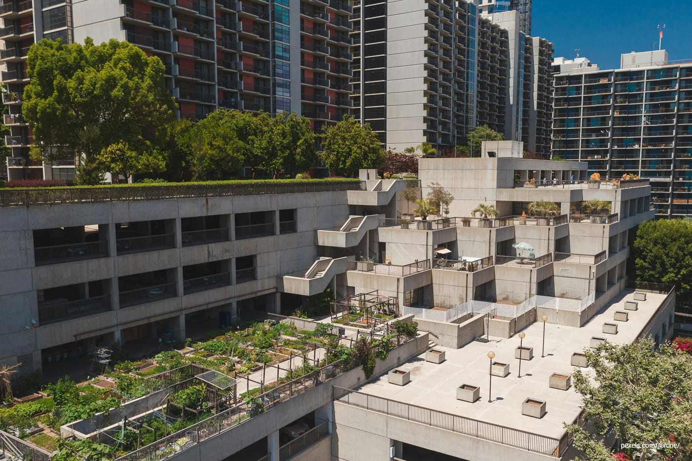 An urban garden on a building