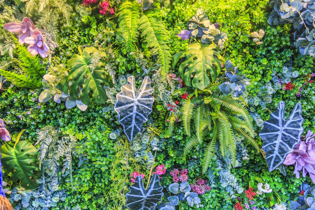 A top view of a garden