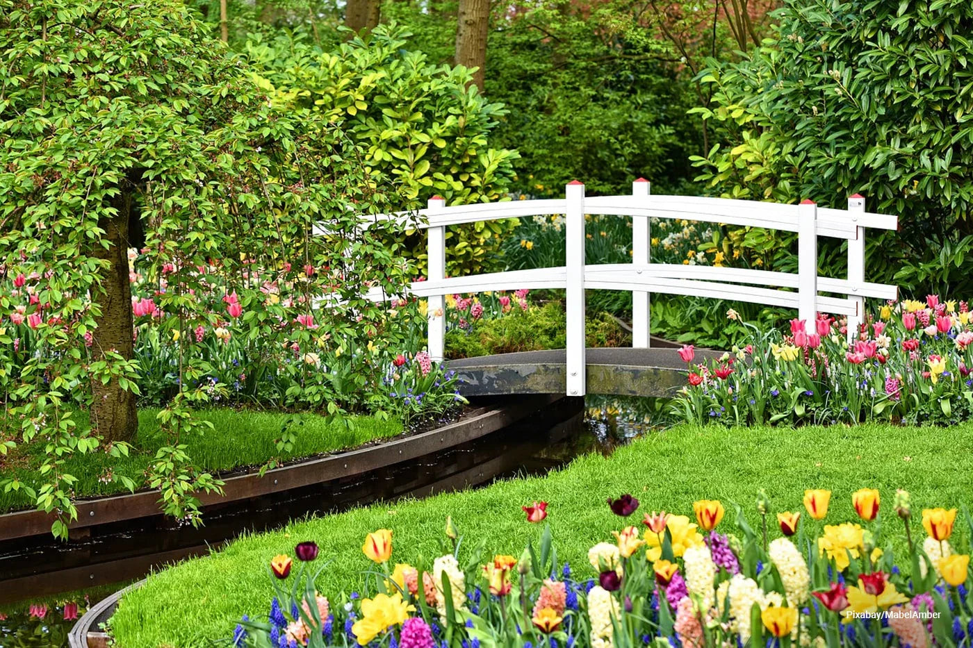 A beautiful garden with a small bridge