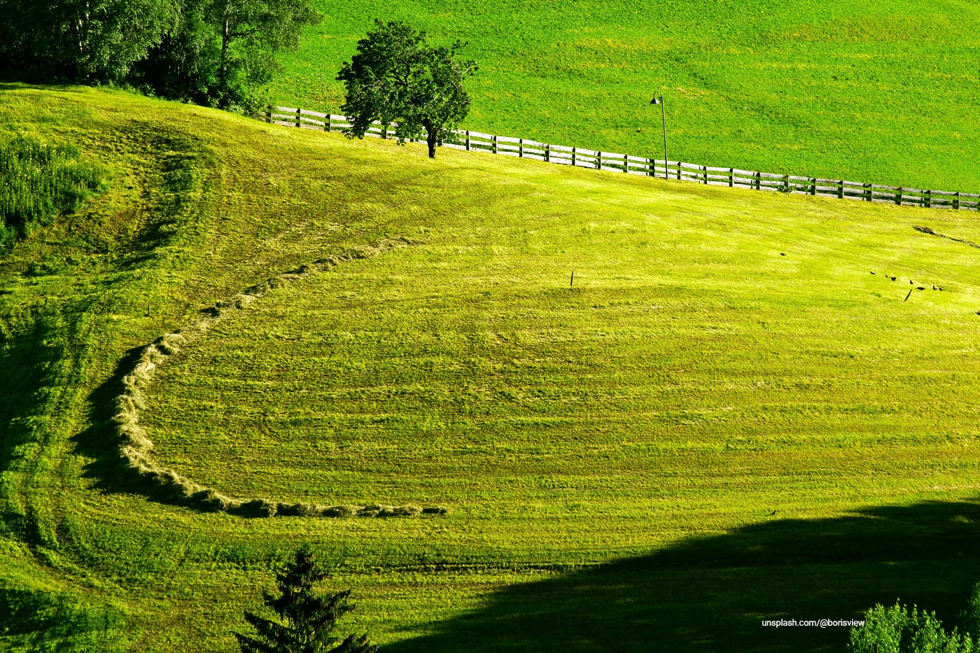 Slope‑Smart: Using a Weed Barrier to Tame Erosion on Steep Yards