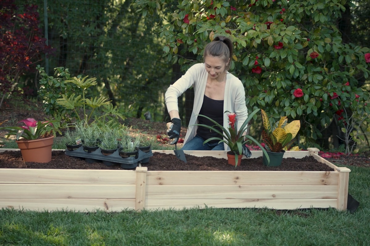 A woman gardening in a raised bed