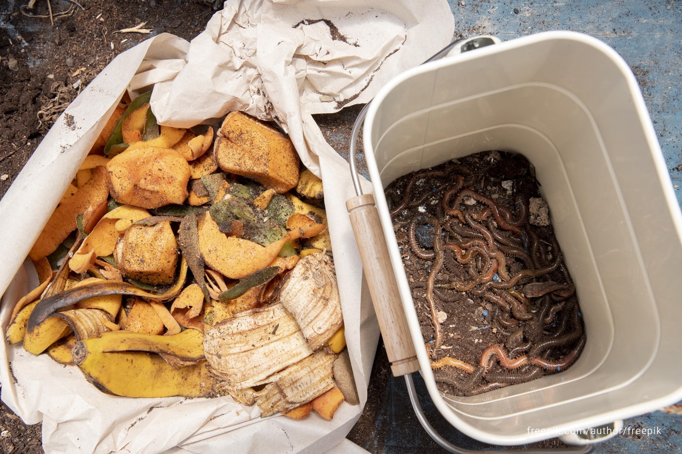 2 Baskets showing different type of compost