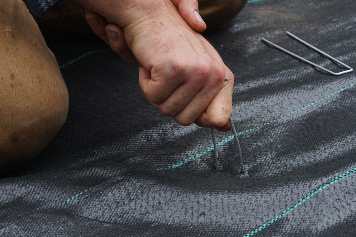 A person using a landscape fabric