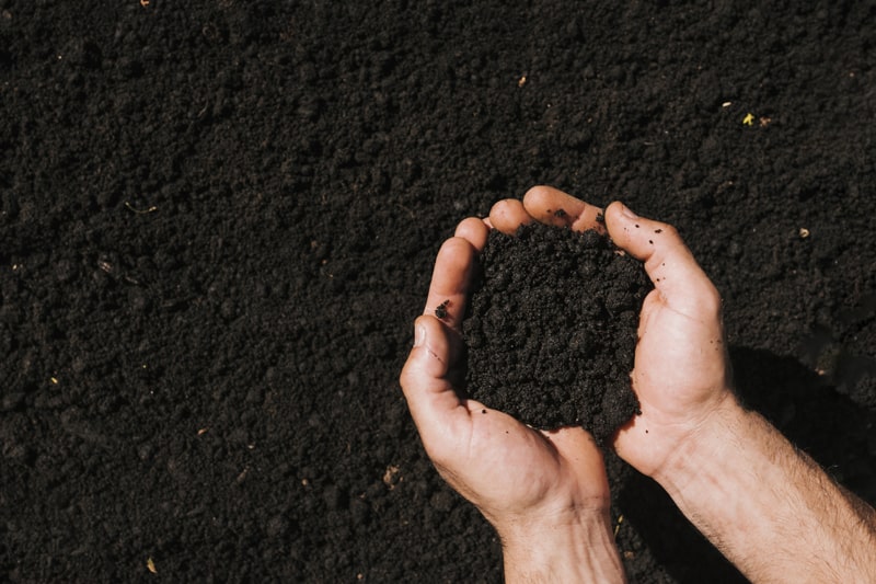 A hand holding a soil with fertilizer
