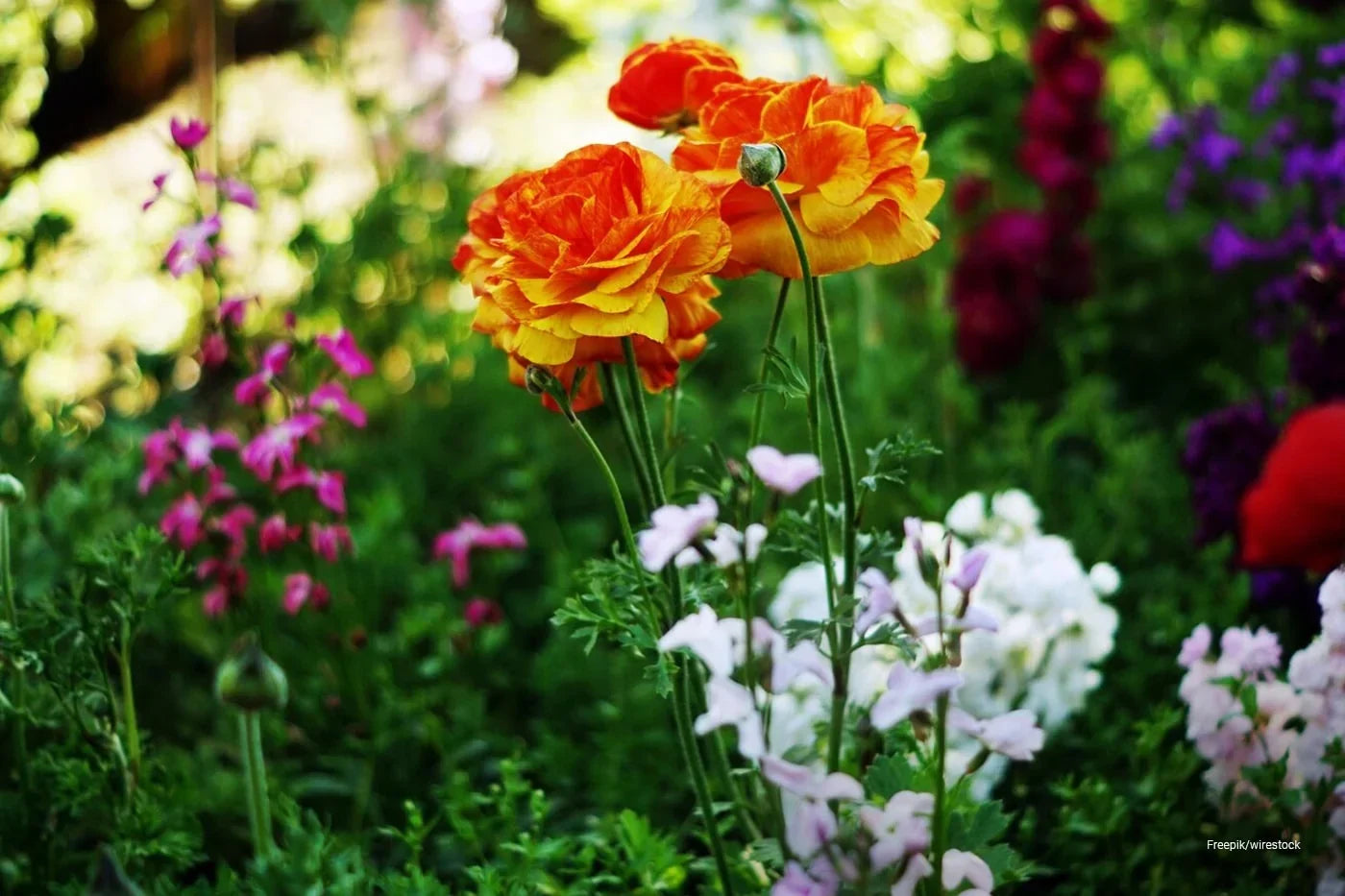 How Better Garden Maintenance Can Reduce Pest Pressure Without Over-Treating Your Yard