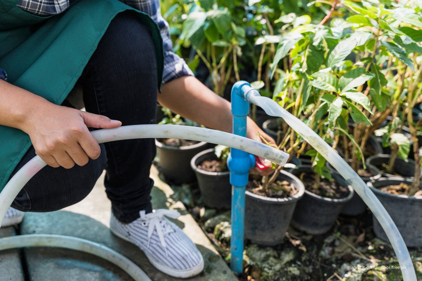 A person fixing the plumbing in the garden