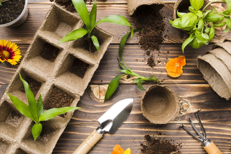 8 Gardening Challenges and How to Solve Them