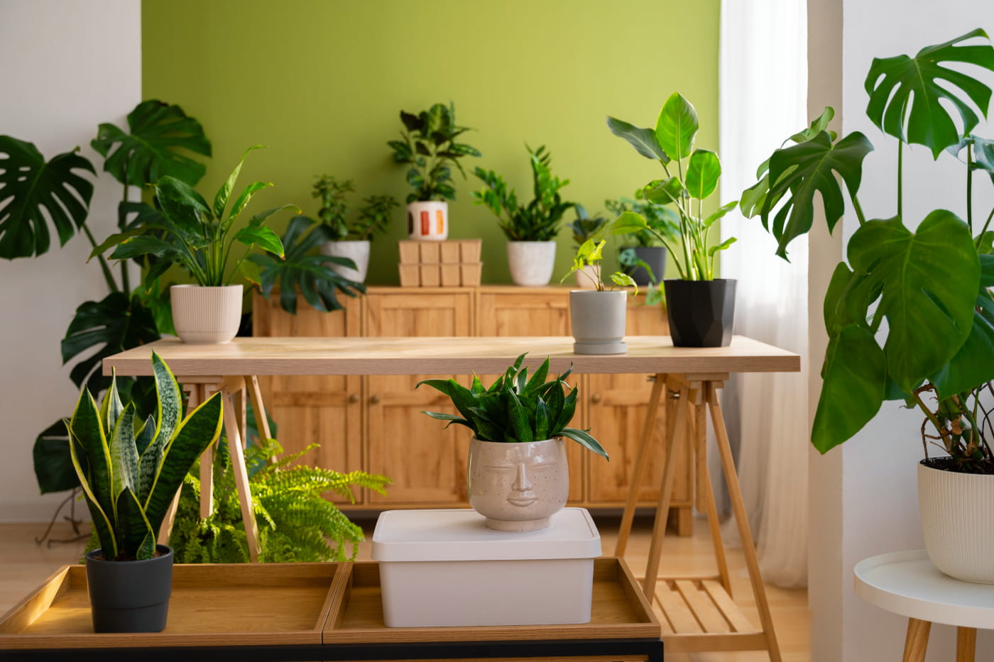 A beautiful indoor garden