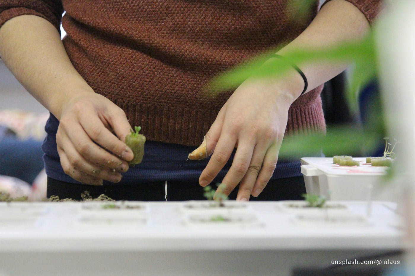 LEDs, Automation and Soil-Free Systems for Indoor Growing