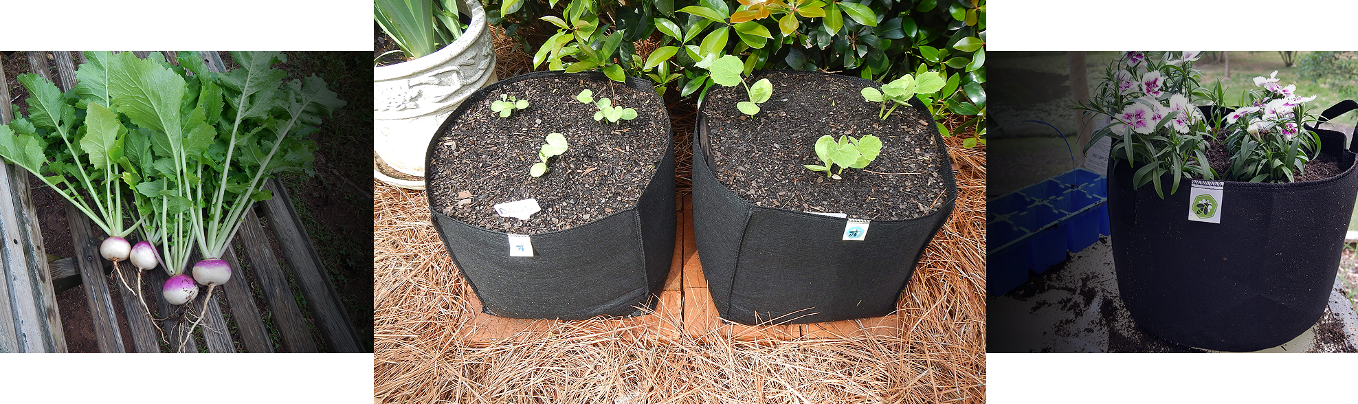 Grow bags for plants