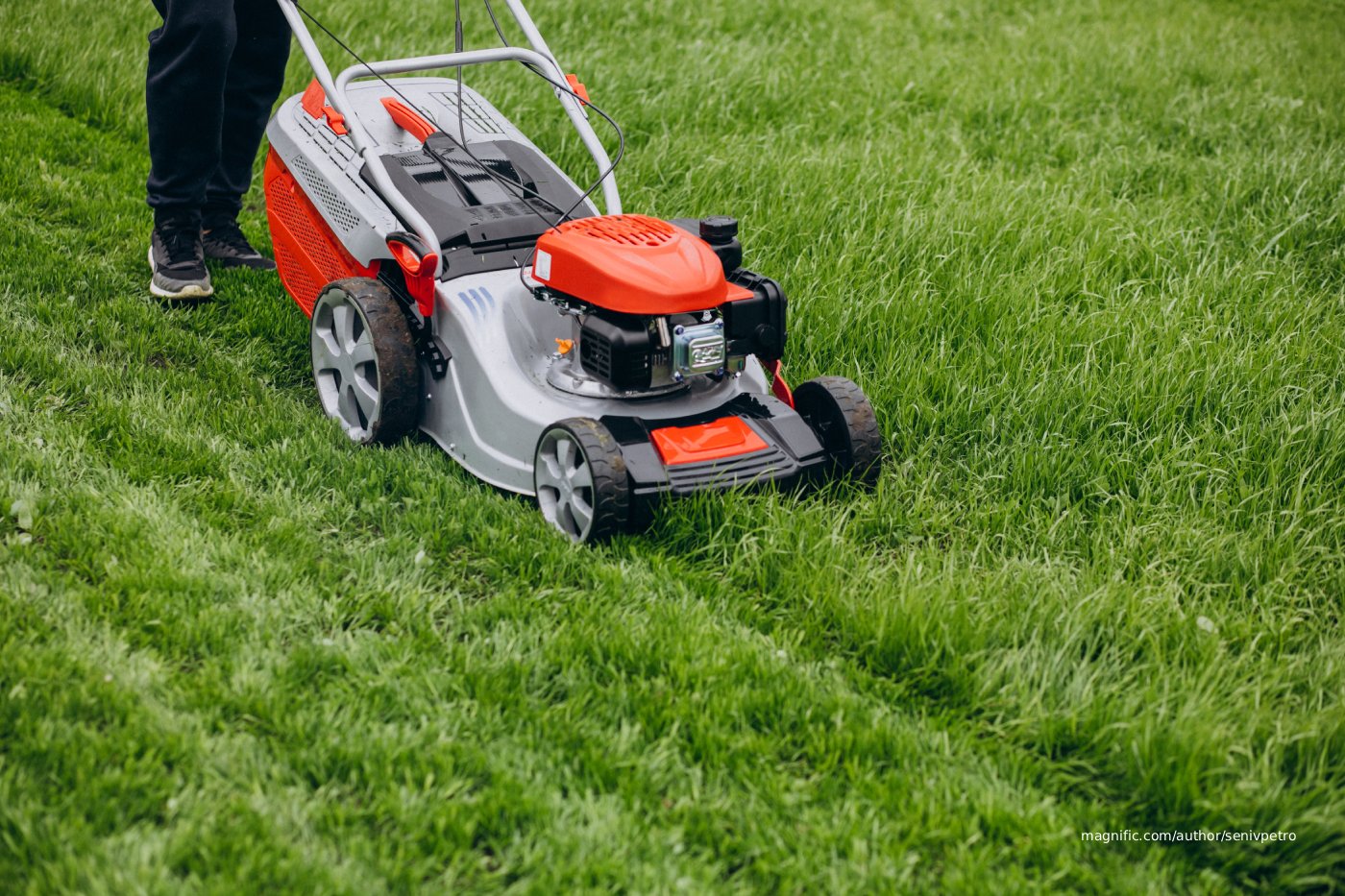 A person mowing the garden