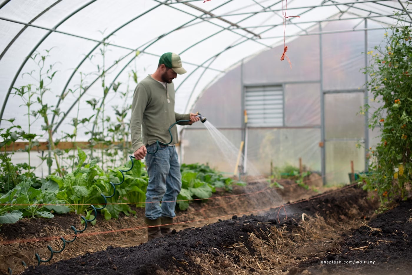 Man watering his garden