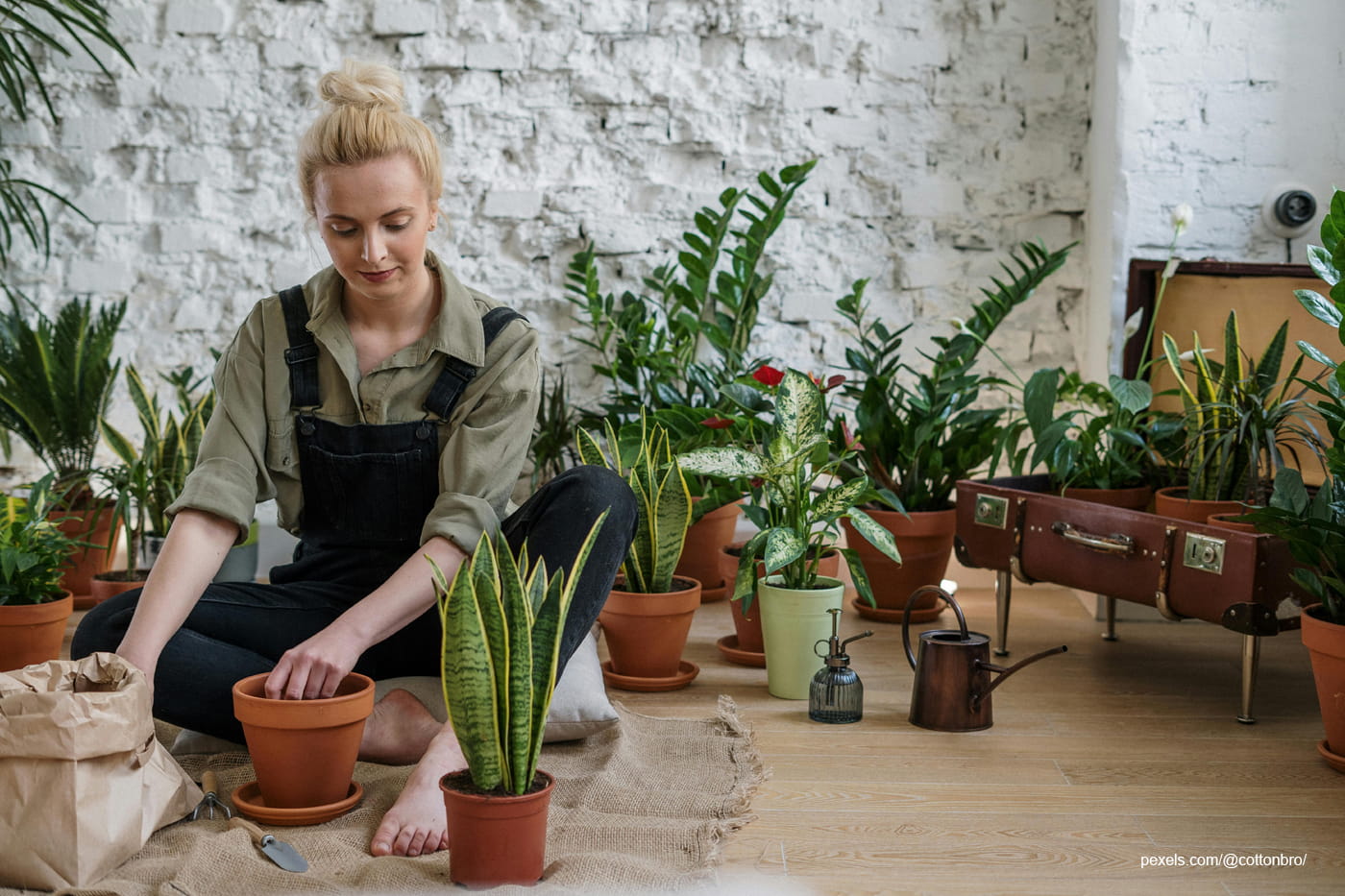 Why Gardening Contributes to Research and Dissertation Studies