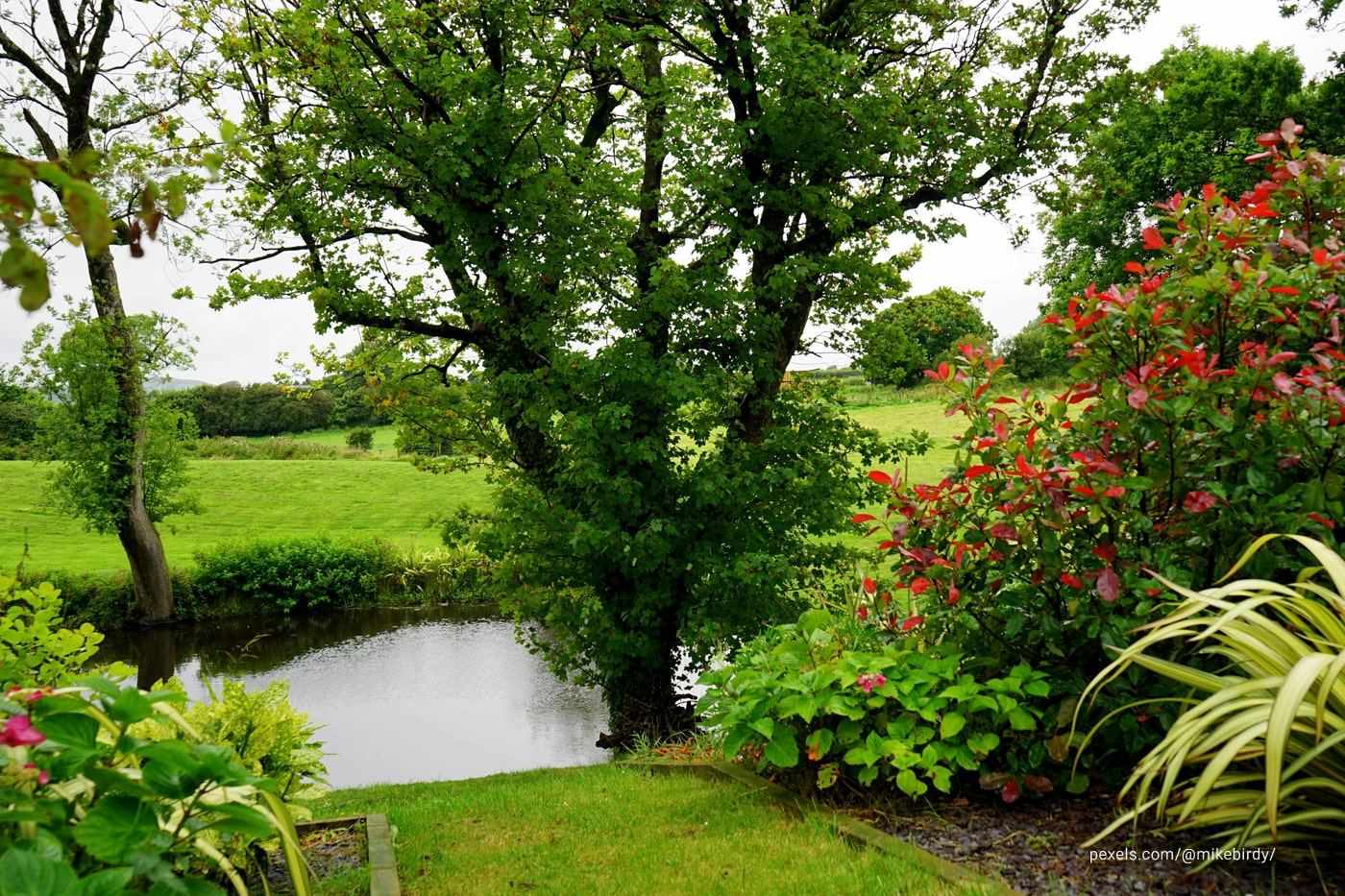 How to Design a Yard That Evolves with Your Lifestyle