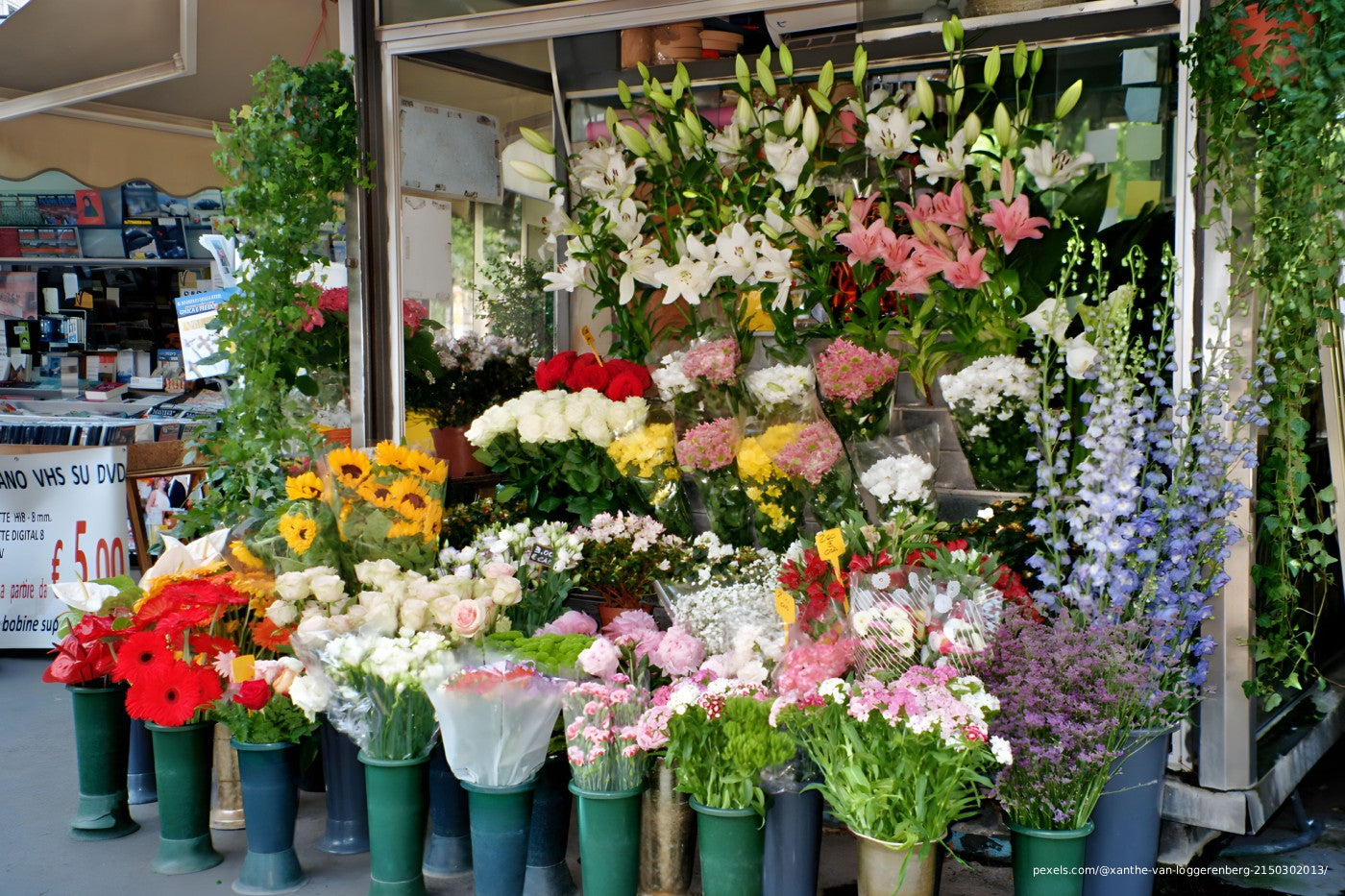 A flower shop