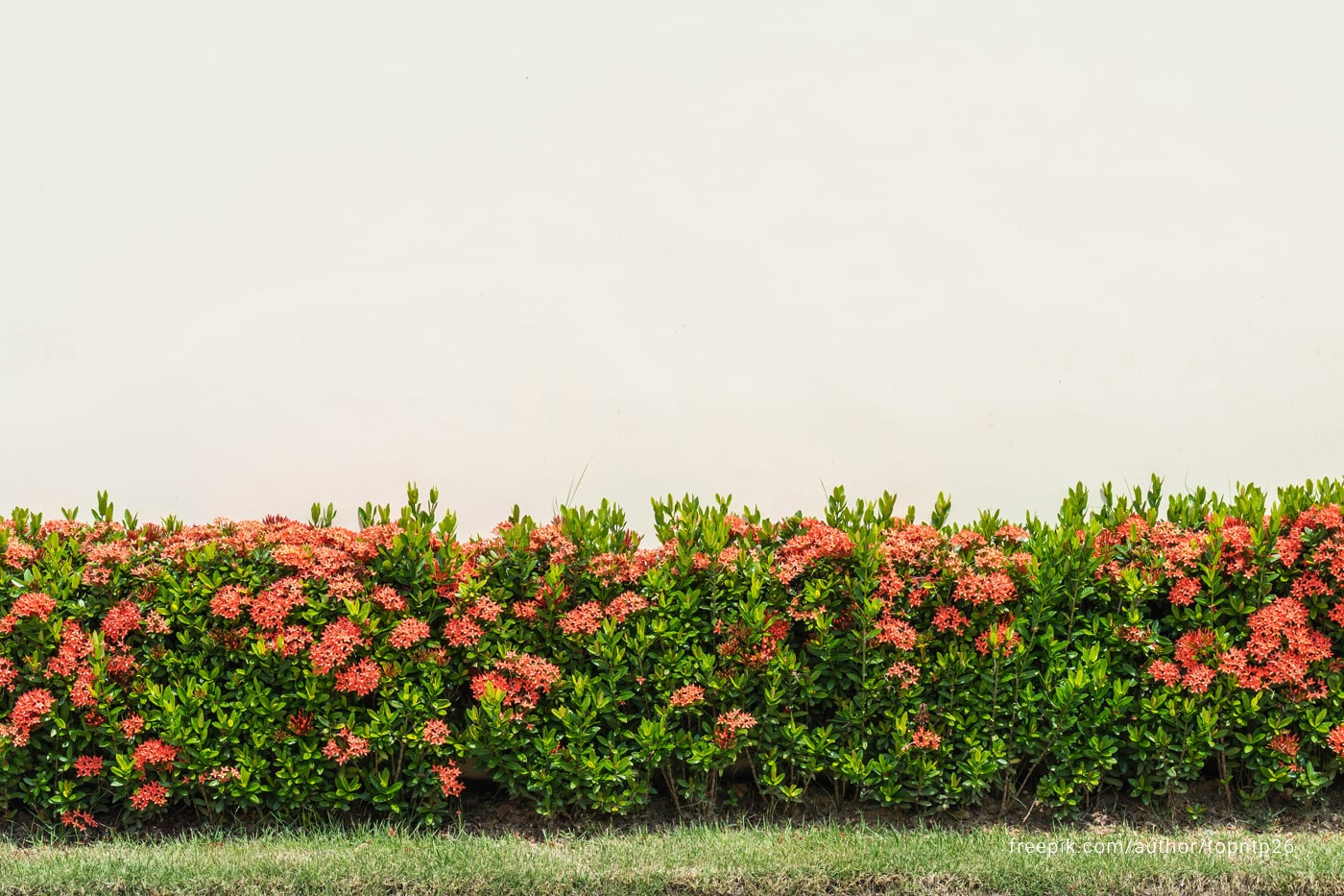 How Smart Garden Borders Improve Yield and Aesthetic Appeal