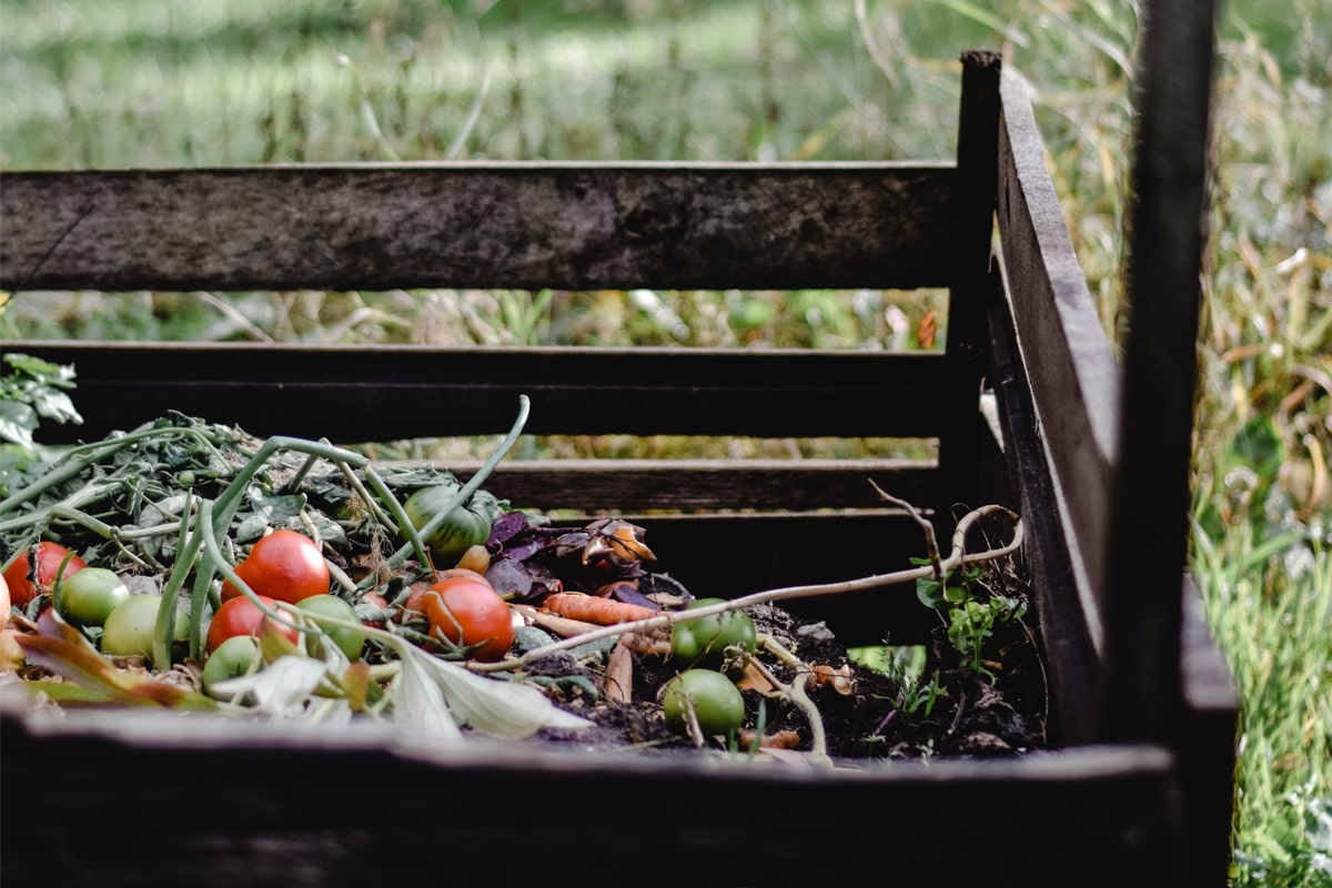 Simple guide to composting