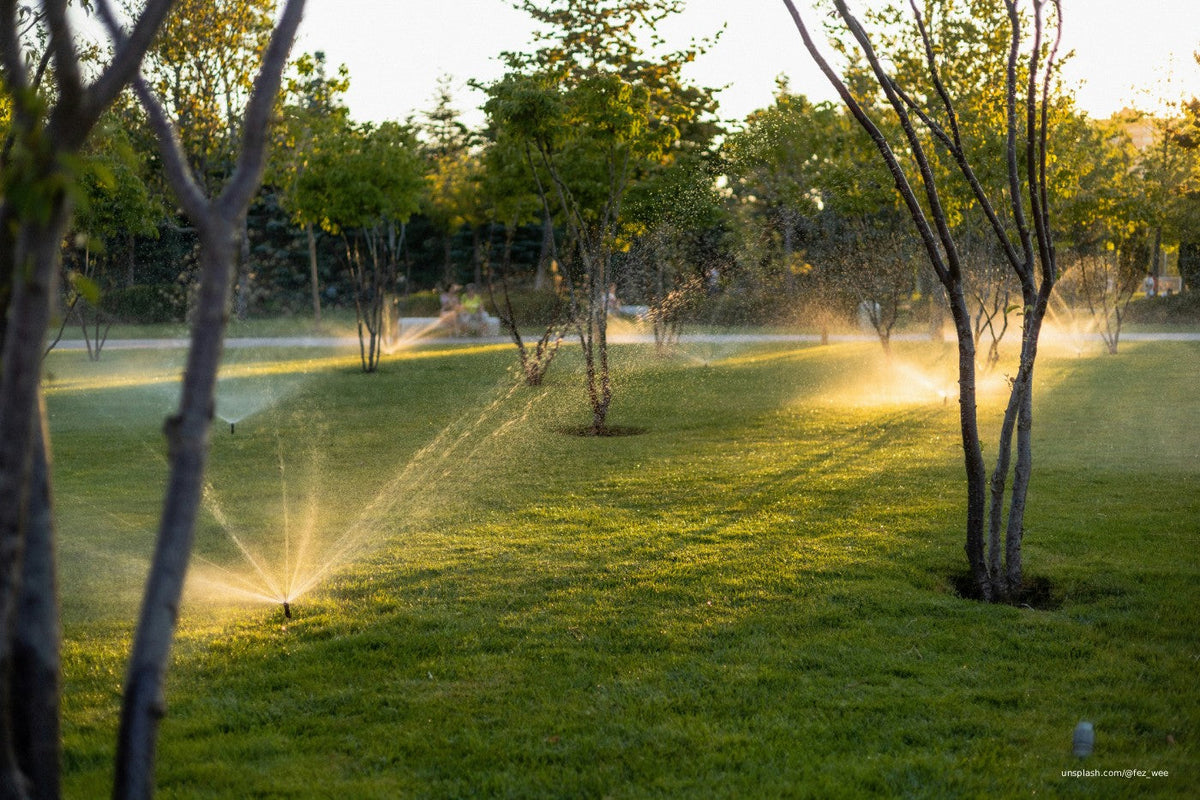 Garden with sprinklers