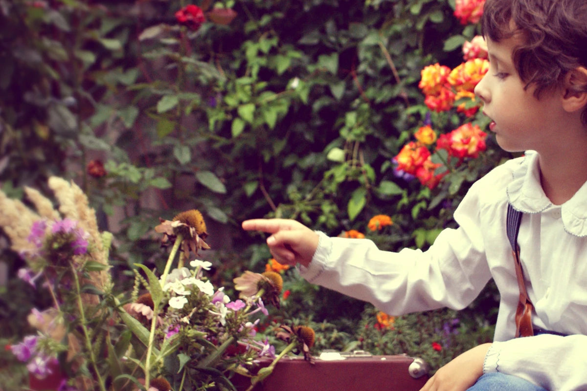 Child touching plants