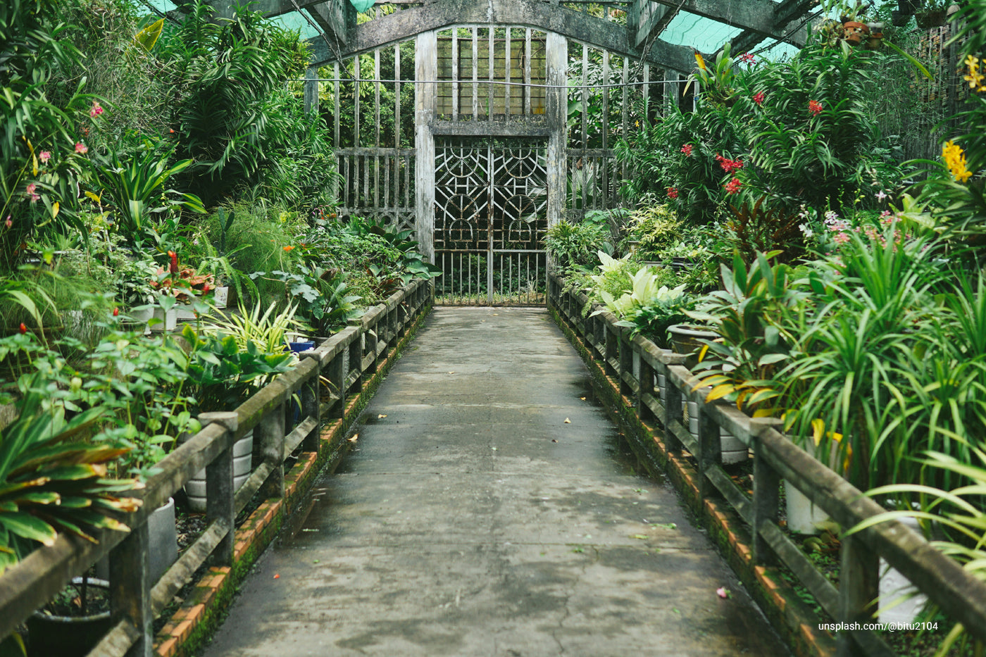 A greenhouse garden