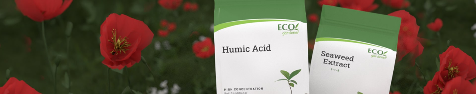 10 Best Ways of Adding More Humus to Your Yard and Garden – ECOgardener