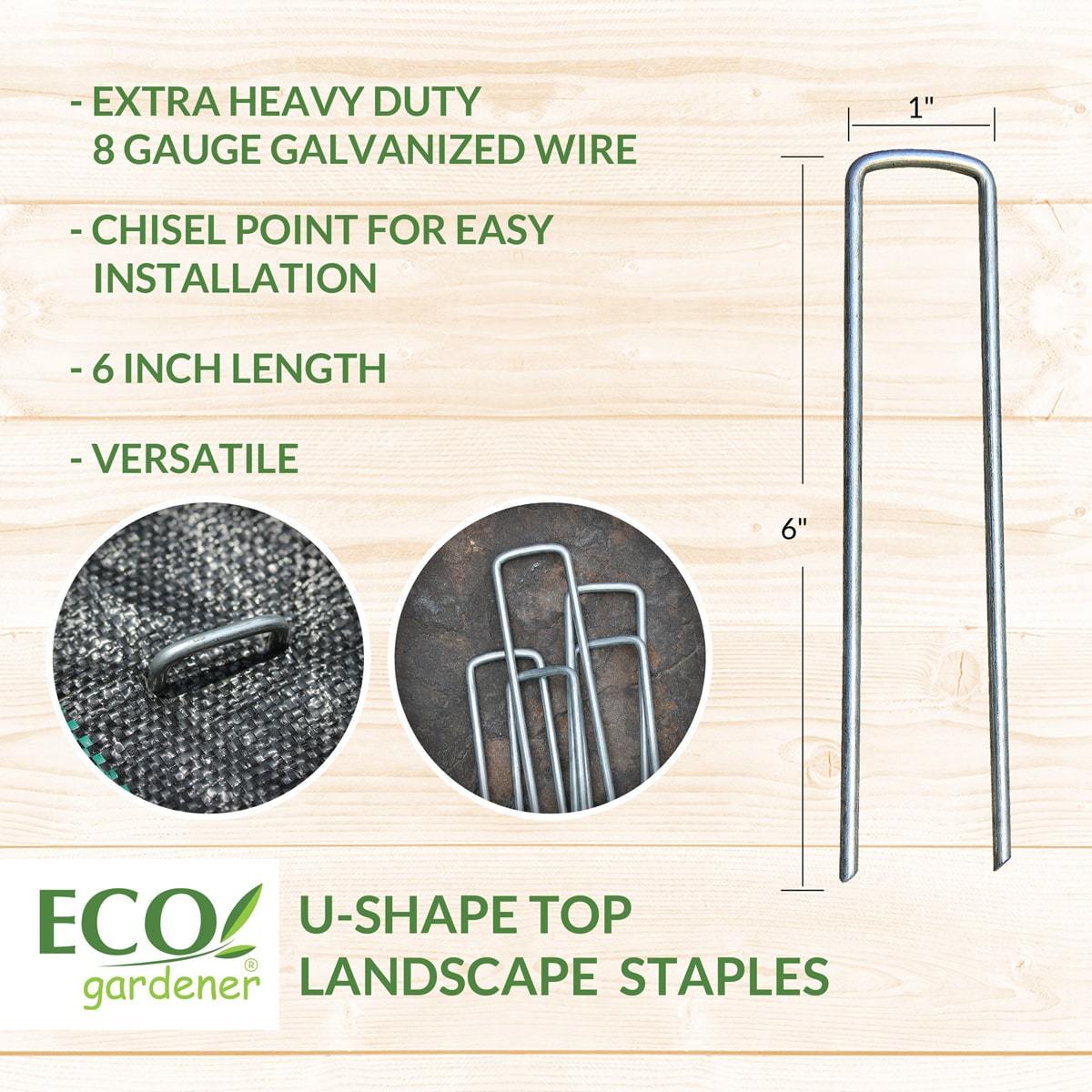 Detailed information for Ecogardener landscape staple chisel point