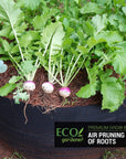 Ecogardener grow bags with vegetables and spices