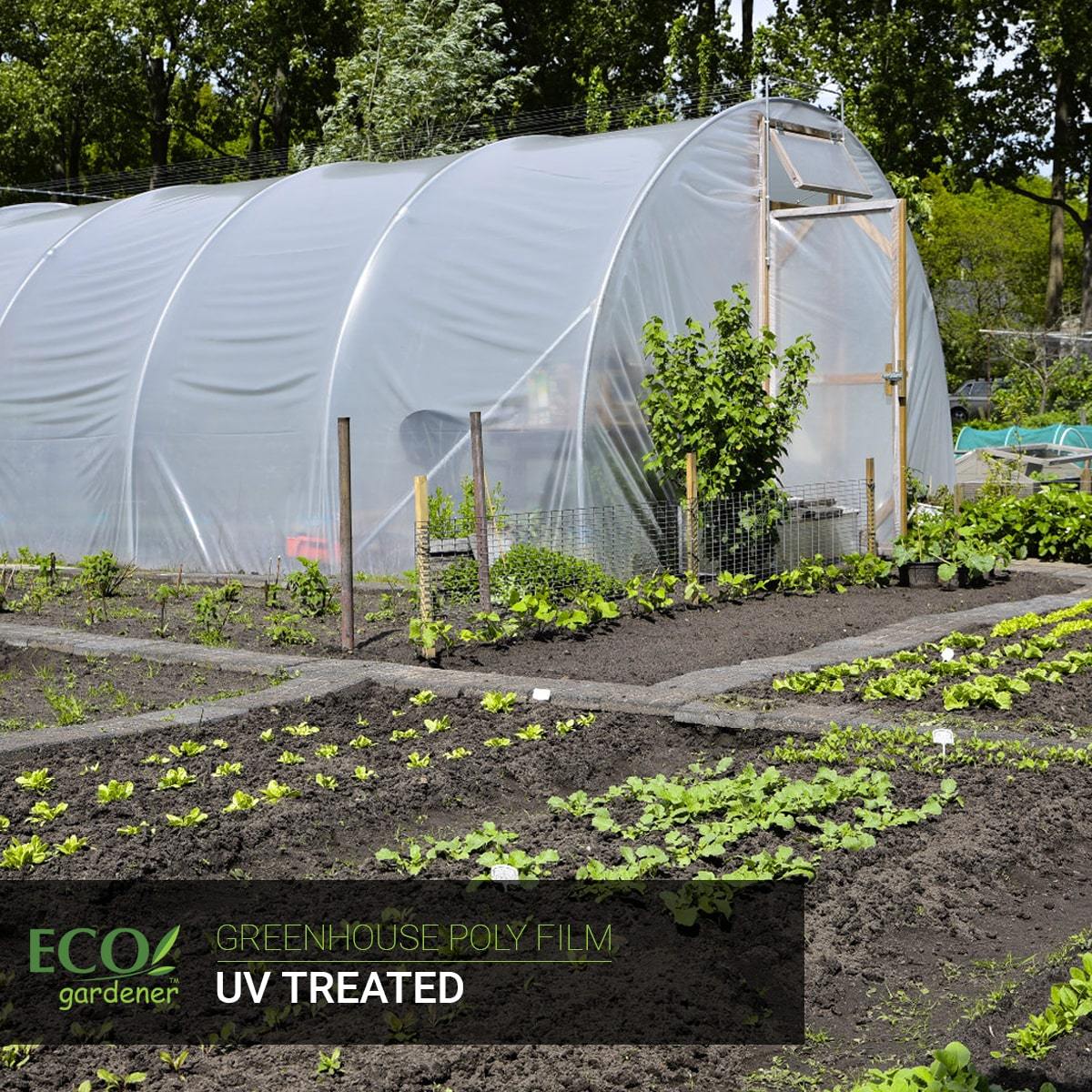A greenhouse using ecogardener greenhouse poly film