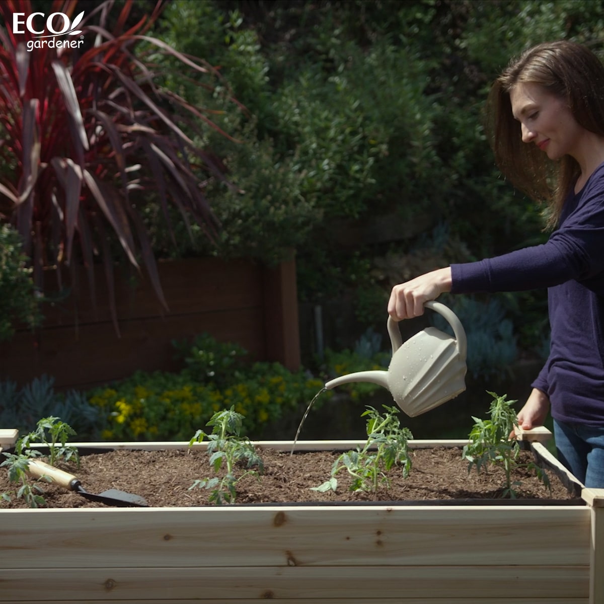 A woman watering her plants in Ecogardener elevated raised bed