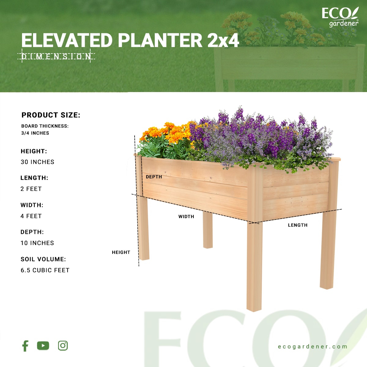 Elevated Planter Infographics