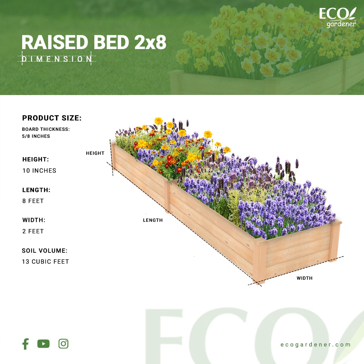Raised Bed Infographics