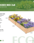 Raised Bed Infographics
